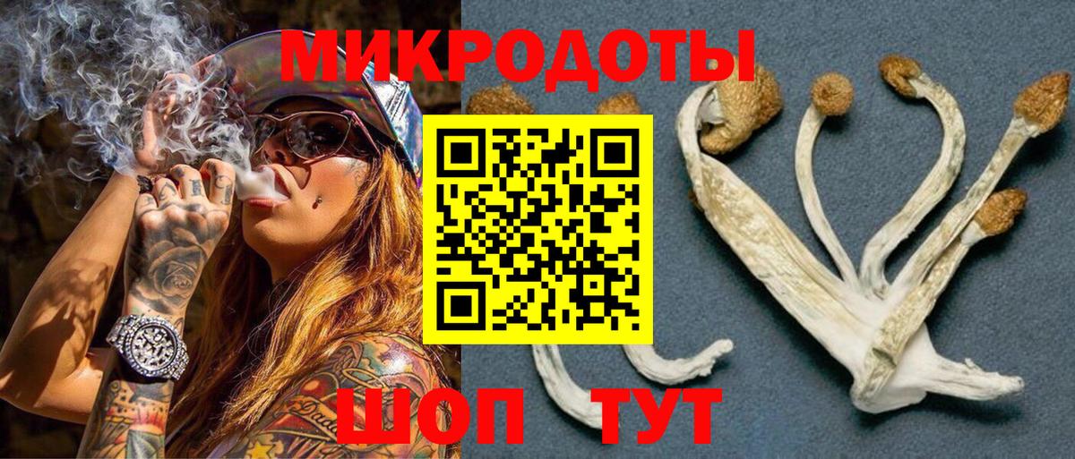 Галлюциногенные грибы Psilocybine cubensis  Вход с VPN  Псилоцибиновые грибы мицелий  Когалым 
