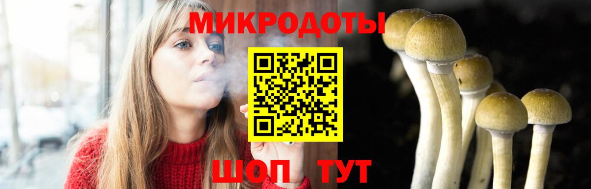 Галлюциногенные грибы мицелий Когалым