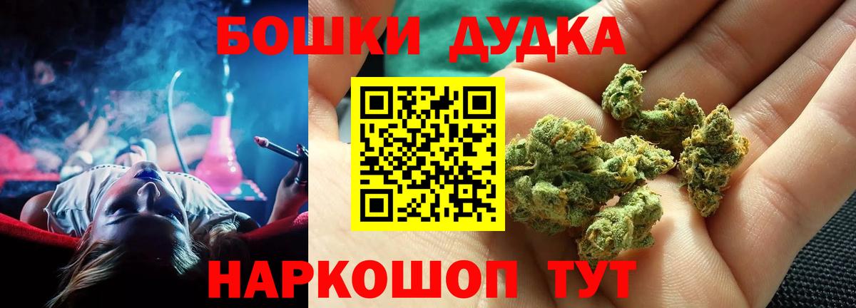 Бошки Шишки планчик Когалым
